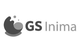 gs-inima